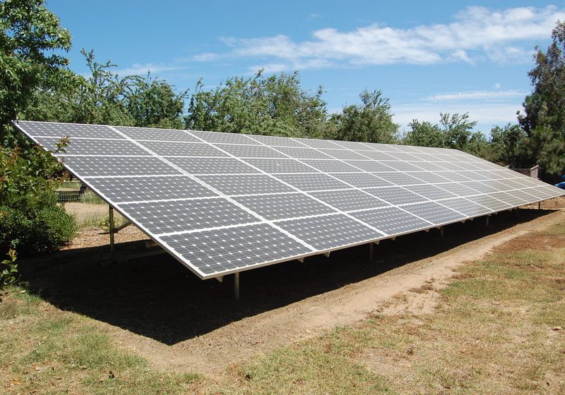 Rows of solar panels mounted on frames in a sunny clearing surrounded by trees