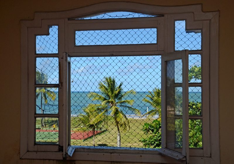 An open wooden window looking out over palm trees and the sea